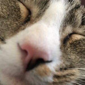 Meet your Posher, Manuel